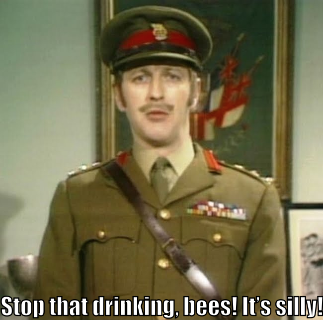 Monty Python's The Colonel says, "Stop that drinking, bees! It's silly!"